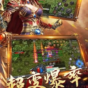 1.76金币复古中一些铁粉儿都喜欢刷仙基