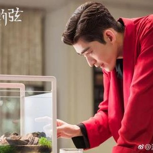 185星王合中的打金骨灰