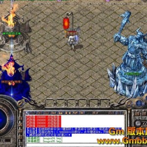 176精品传奇元神道战组合能学啥子妙计？
