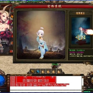 深入了解道士职业隐身拉BOSS诀窍