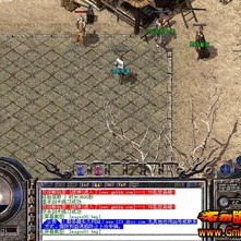 极品 精品中-诛仙装备看不到更新盛大多少区
