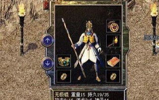 哪把武器是最适合跟随道士