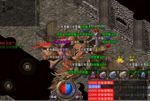 战士血量最多的原因有哪些