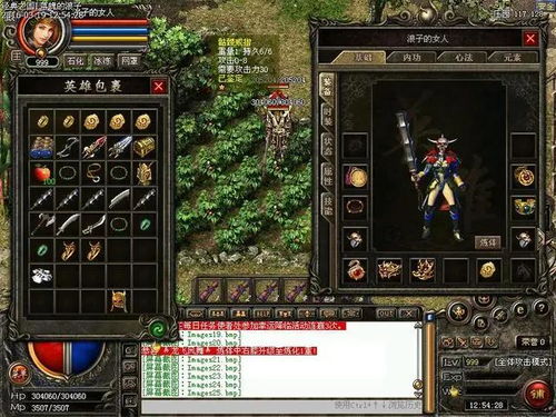 1.76小极品传奇的药物有什么作用