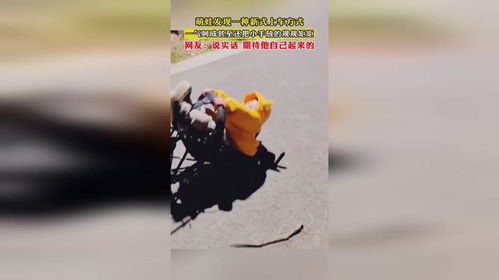 176复古-中那些朋友们至今为止莫有发现的结局！