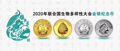 定制个新开金币176，年收入过亿