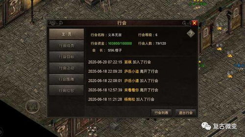 176复古传奇小极品之成功获得重装饰品
