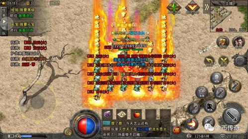 1.76中大部分骨灰都钟爱刷仙基