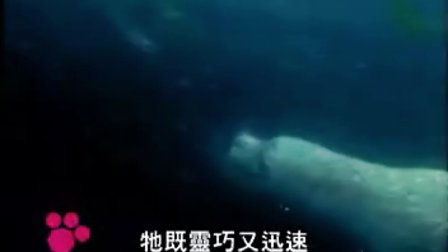 为何就老玩家都偏爱传奇私服 精品呢？