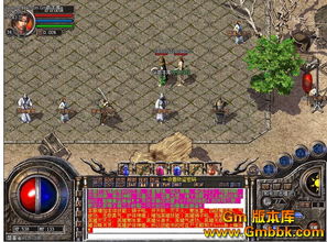 版本是1.72传统版，最经典的传奇复古1.80