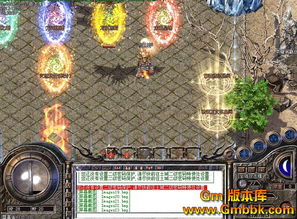 火龙私服-怎么卡无敌？跪求大神指教