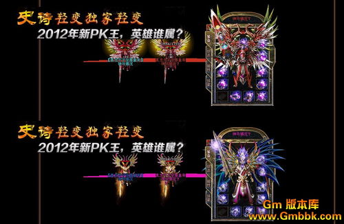 宠物和玩家之间的默契配合有什么作用