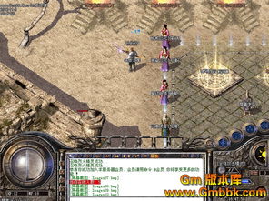 1.80星王私服中不可或缺的金币！