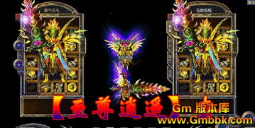 星王版本私服中-炼狱如何屏蔽系统物品提示掉落提示怎么走 全坐标