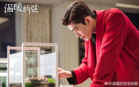 185星王合中的打金骨灰