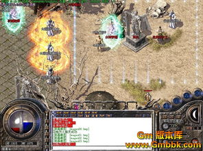 唯有新开传奇私服合击版-老骨灰才了解的消息，麻痹戒指的起源！