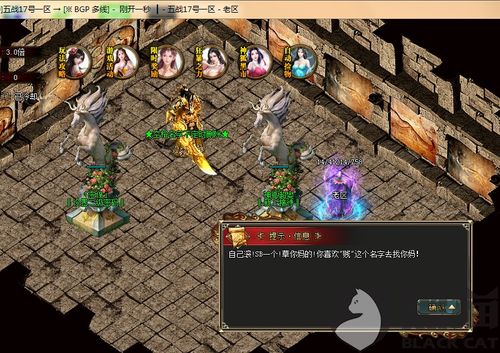 之前这是因为这两个方面，新开网通私服直到现在到现在还没有倒闭